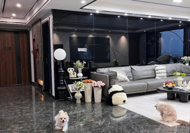 Thiết Kế Nội Thất Bình Dương Chuyên Nghiệp – Không Gian Đẹp, Tối Ưu Công Năng